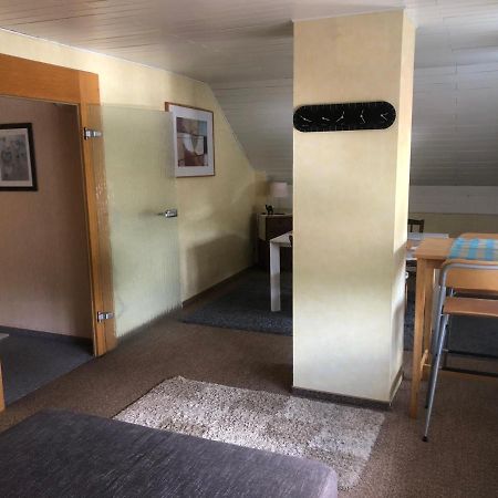 Eisen  Ironico Homestay 4 Schlafzimmer Ferienwohnung 100 M2 Nahe Bostalsee מראה חיצוני תמונה