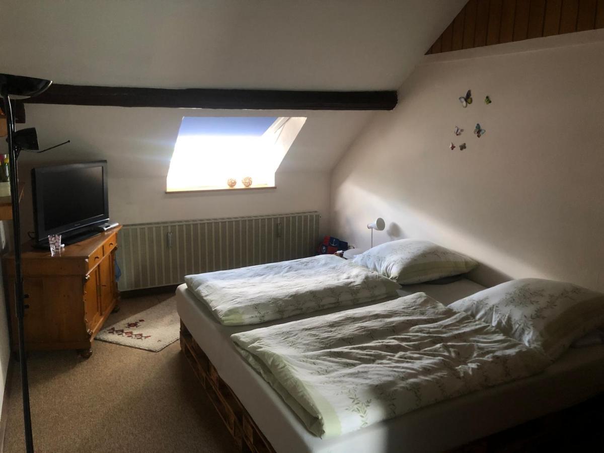 Eisen  Ironico Homestay 4 Schlafzimmer Ferienwohnung 100 M2 Nahe Bostalsee מראה חיצוני תמונה
