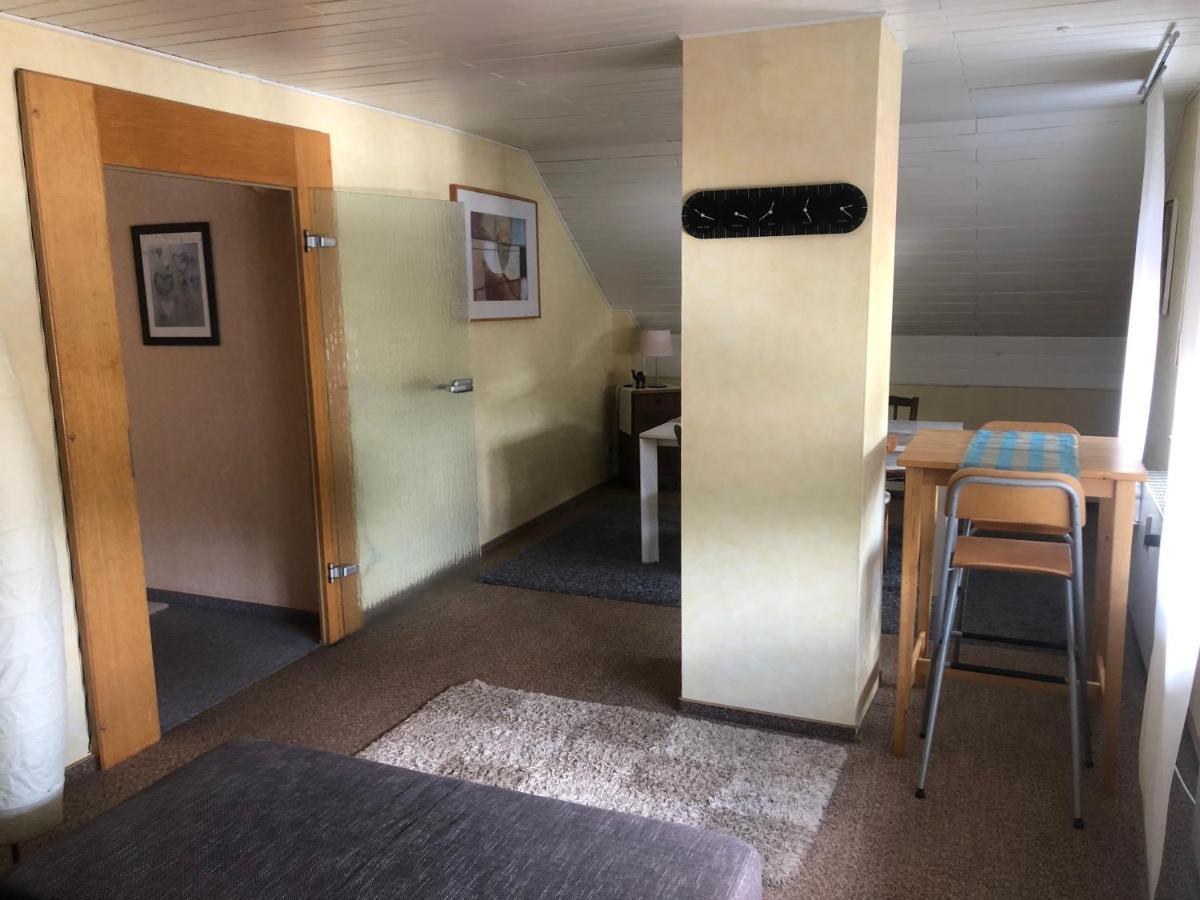 Eisen  Ironico Homestay 4 Schlafzimmer Ferienwohnung 100 M2 Nahe Bostalsee מראה חיצוני תמונה